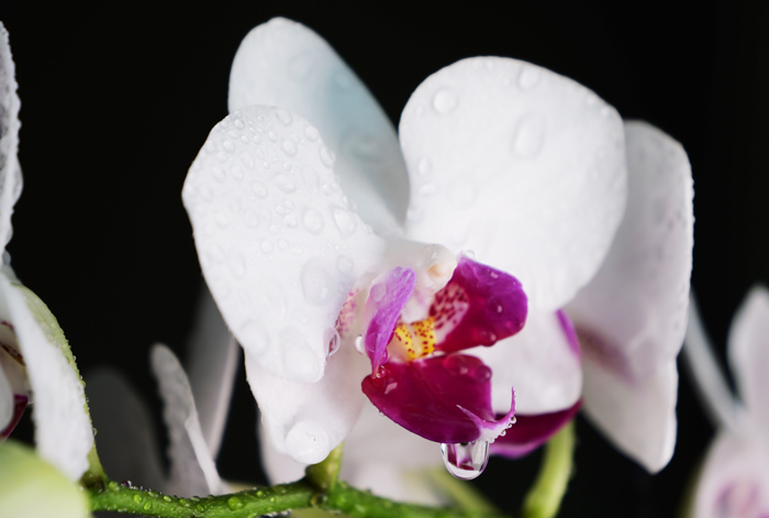 How to get wet after menopause