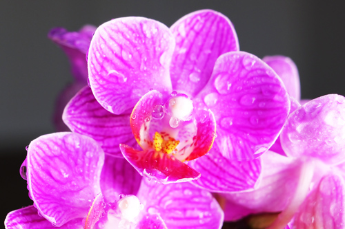 How to increase sex drive during menopause